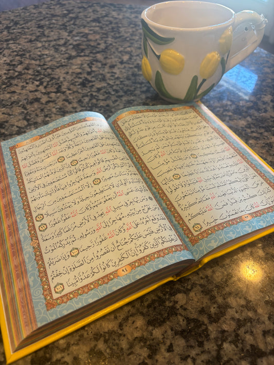 Read Sip And Journal Set